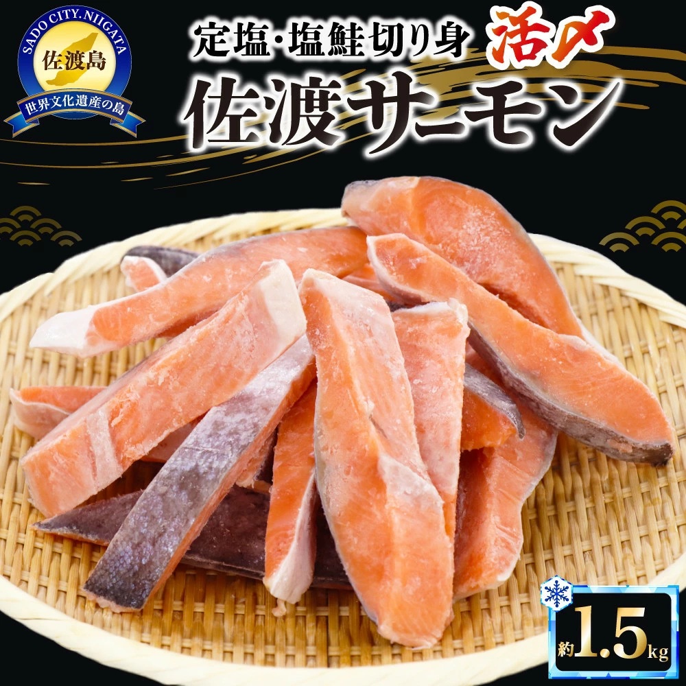 ≪新登場！≫ふっくら美味しい「佐渡サーモン」塩切身 約1.5kg【佐渡市ふるさと納税】
