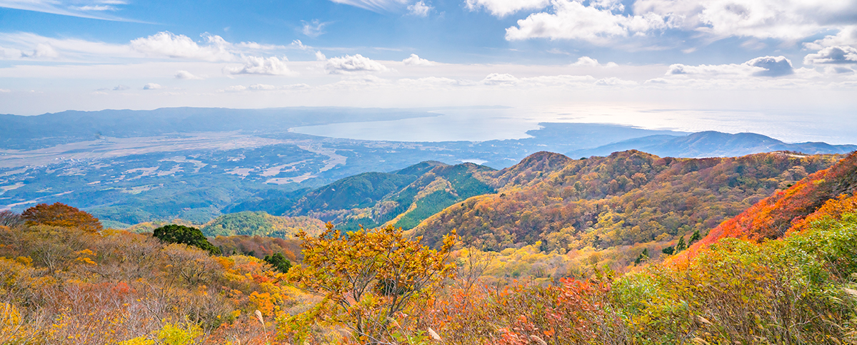不容错过的秋日盛景、欢迎来到美丽的佐渡！