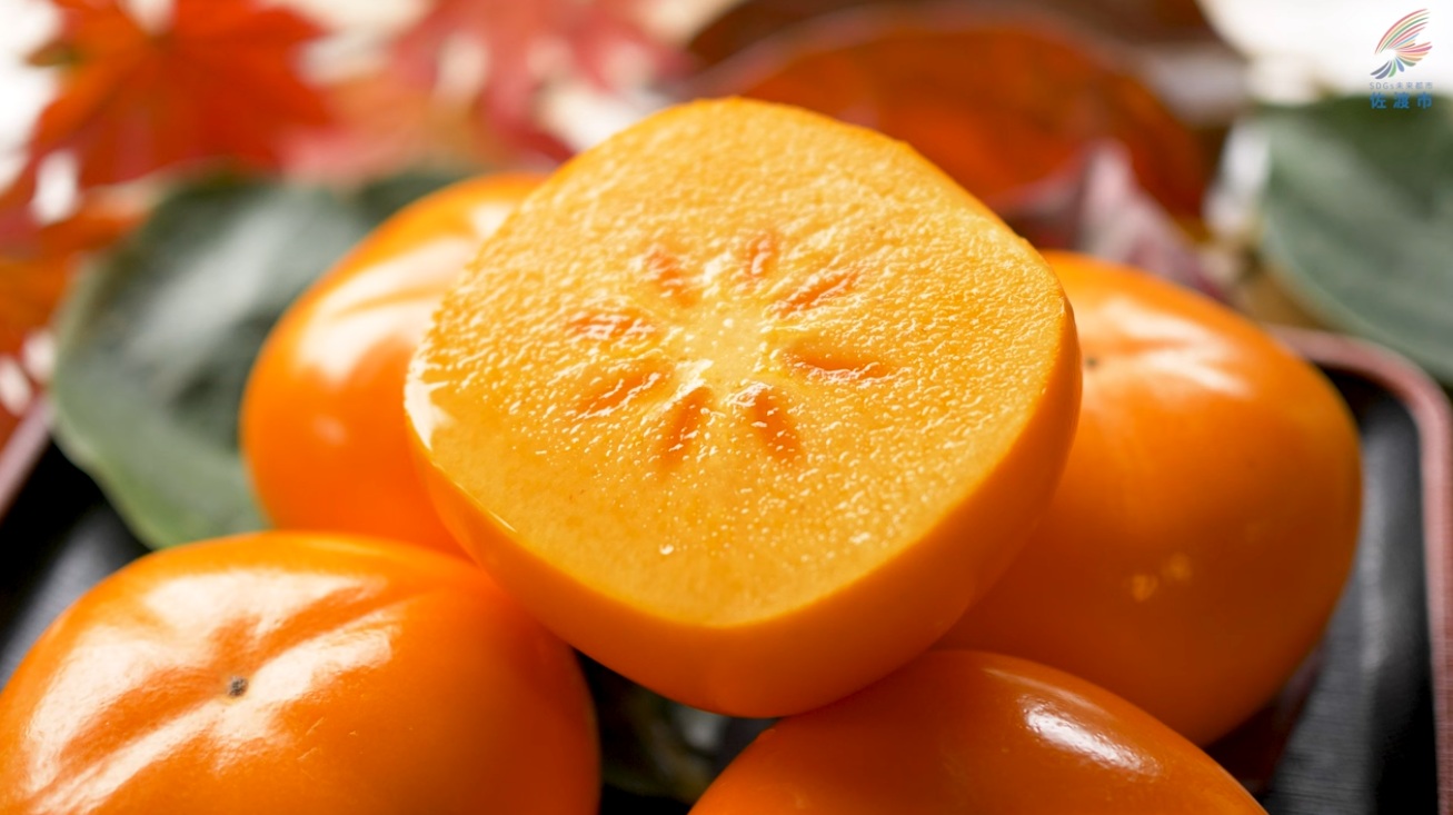 《フルーツの島》あまくて濃厚！おけさ柿【佐渡市ふるさと納税】