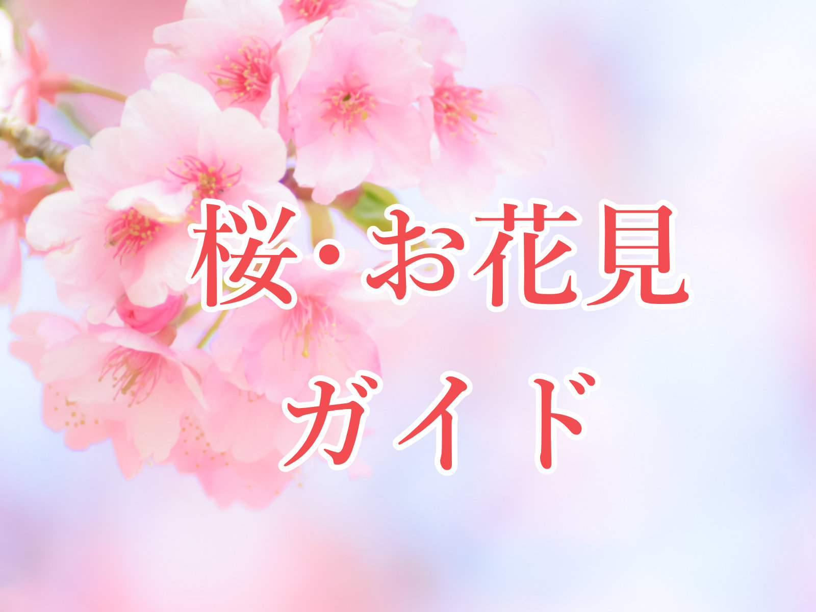 佐渡市の桜・お花見ガイド