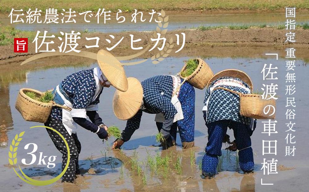 ≪佐渡の車田植え≫限定24袋！北村家のコシヒカリ先行予約受付中【佐渡