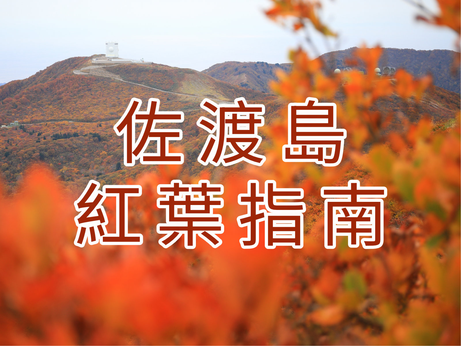 佐渡島紅葉指南