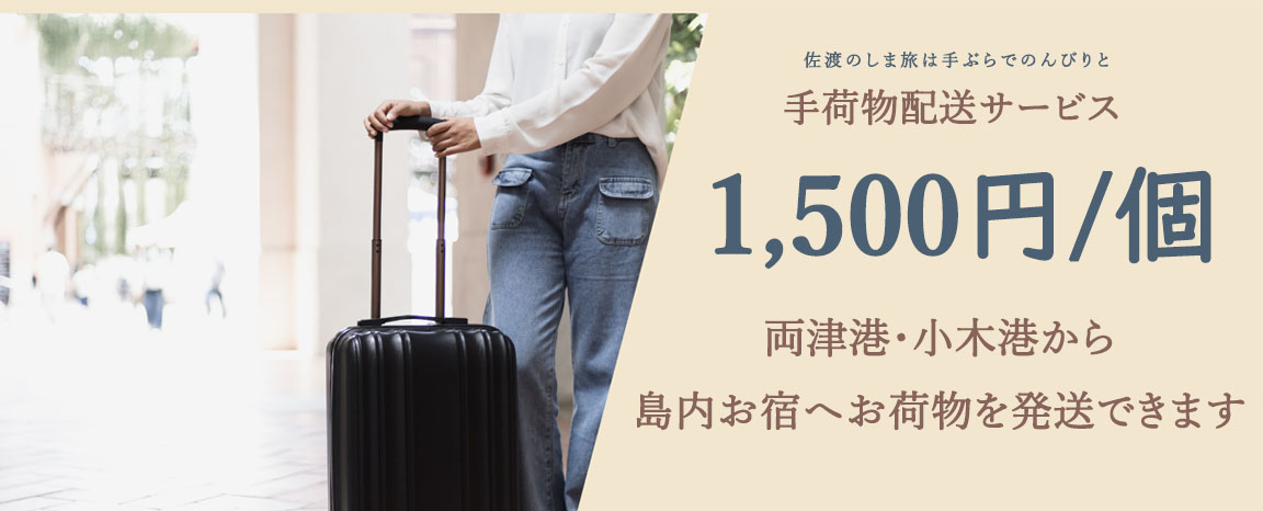 手ぶら観光サービス