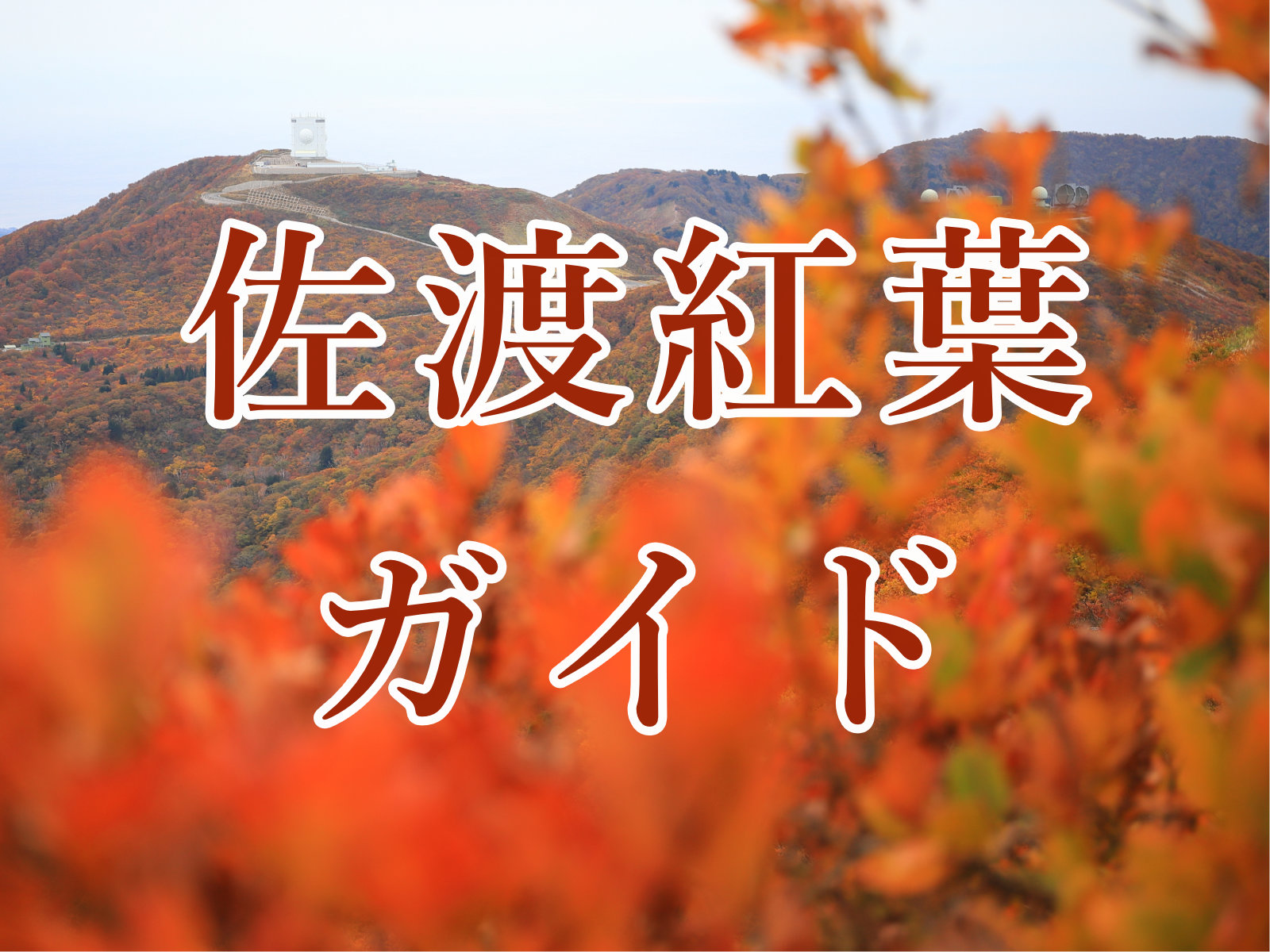 佐渡の紅葉ガイド