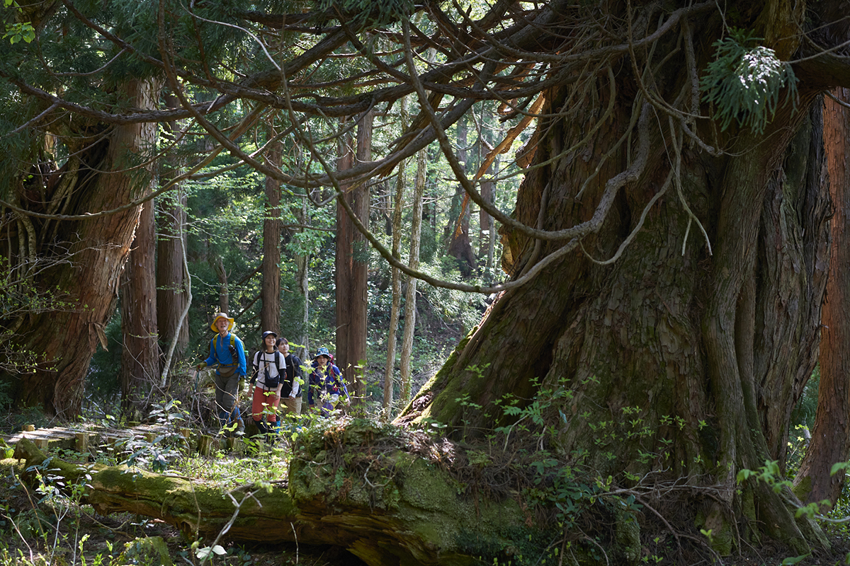 海を臨む縦走路と奇跡の造形美に触れる佐渡の山旅 【前編】