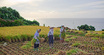 Kitakatabe Terraced Rice Fields