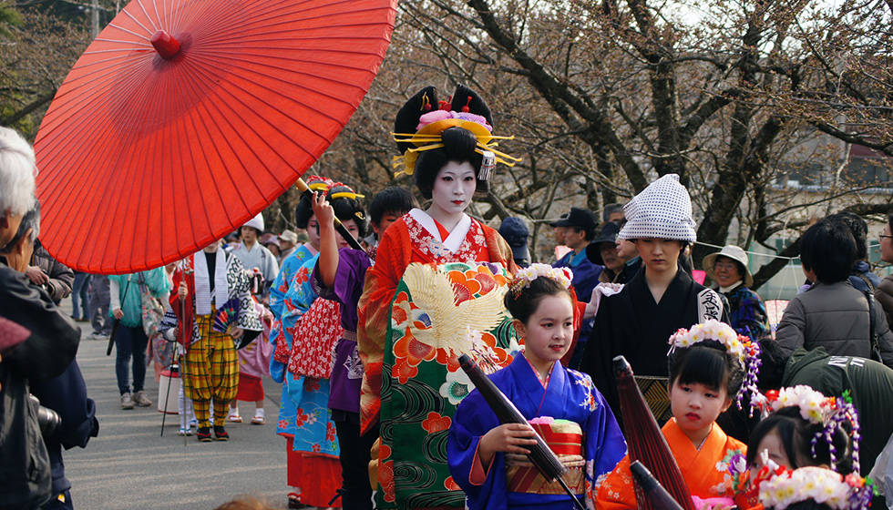 おいらん道中in桜まつり（4月15日） | さど観光ナビ