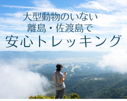 佐渡の山にはクマがいません　安心トレッキング♪