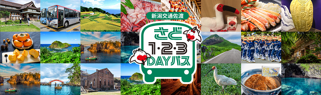 佐渡路線バス フリー乗車券はスマホからの購入がオススメ