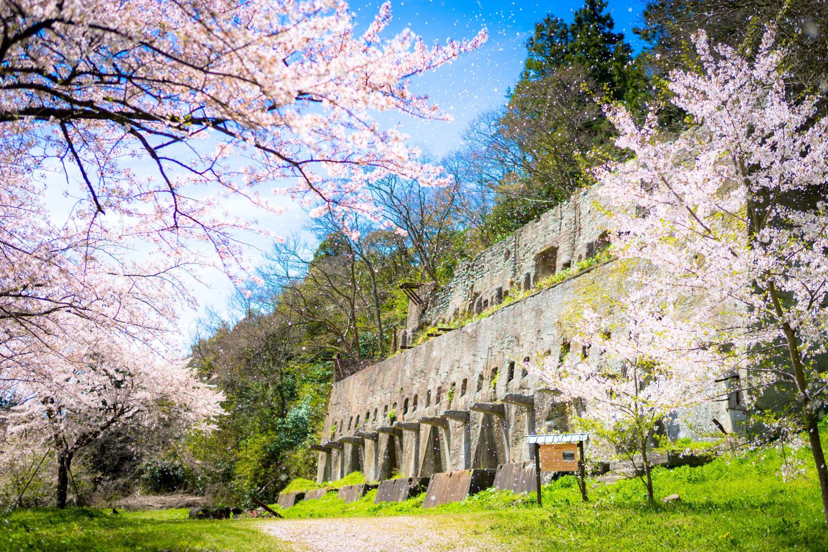 春の息吹、佐渡で感じる贅沢な時間