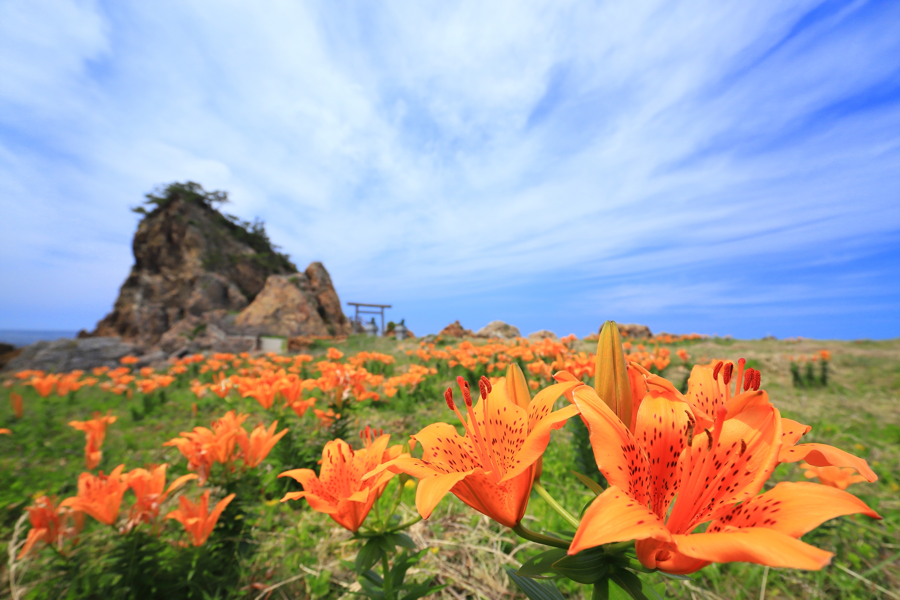 フォトスポットを巡ろう