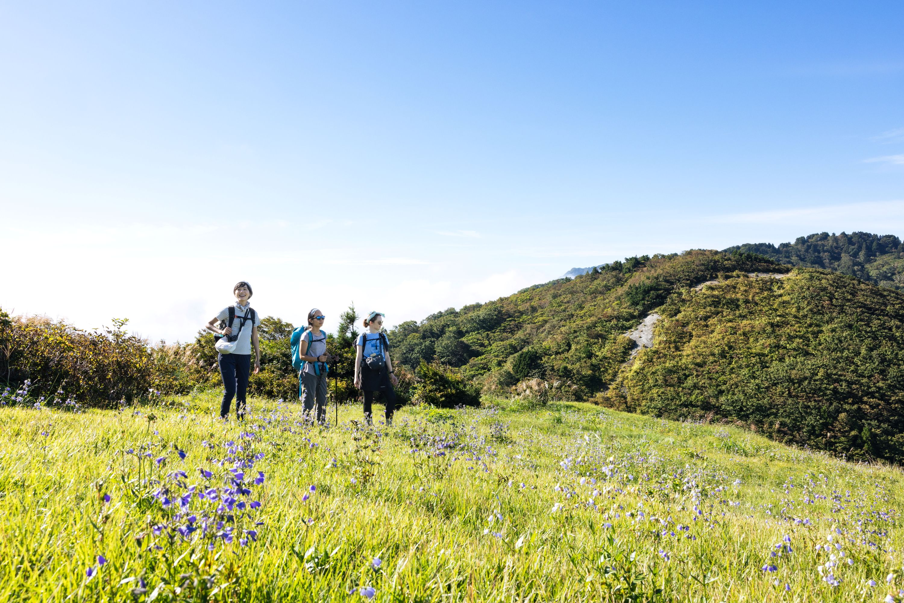 安心トレッキング佐渡島の山を心ゆくまで楽しもう