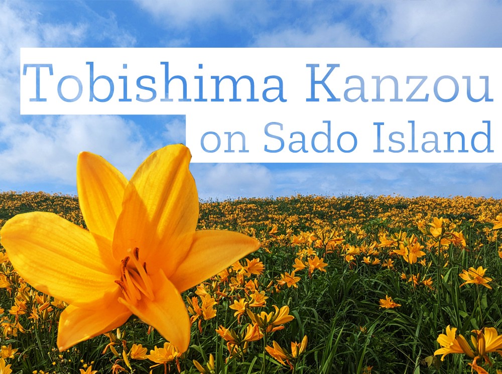 Tobishima Kanzou on Sado Island