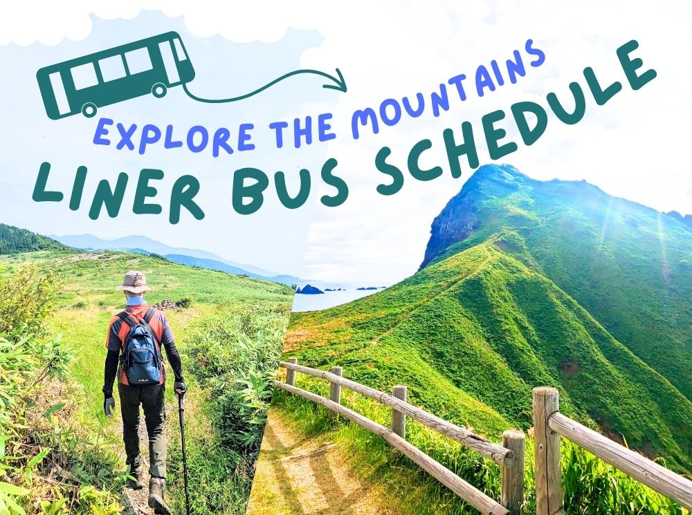 Explore the Mountains with Liner Buses in May/June 2026