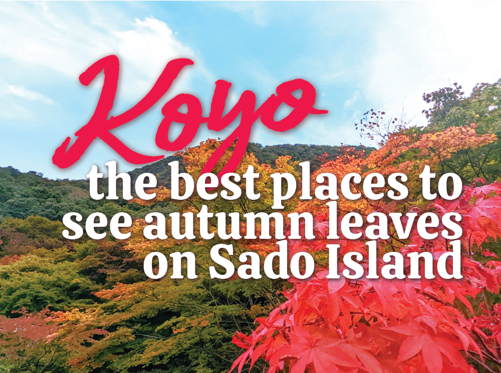 Koyo: Best Places to See Autumn Leaves on Sado Island