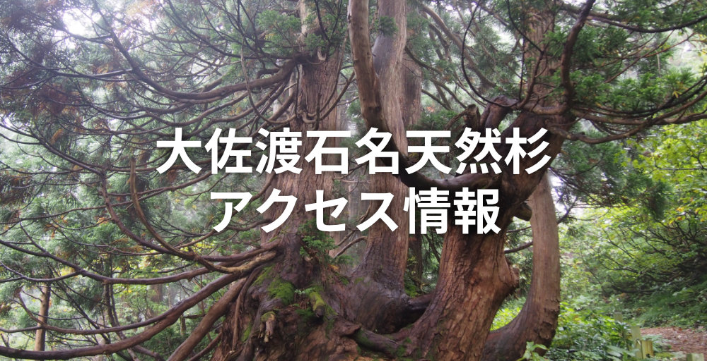 大佐渡石名天然杉（和木-石名線）のアクセス情報