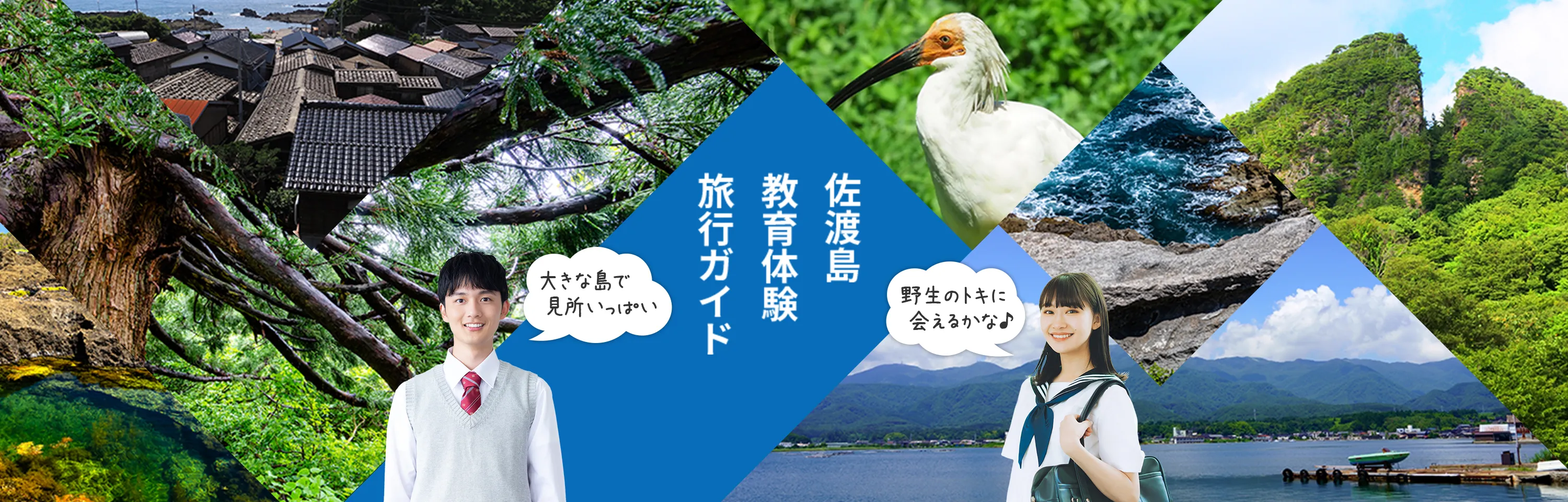佐渡島 教育体験 旅行ガイド