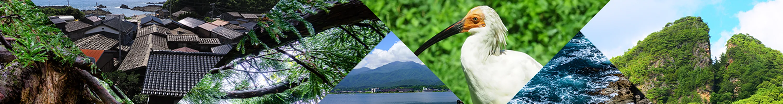 佐渡島 教育体験 旅行ガイド