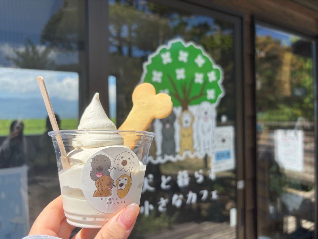 佐渡はソフトクリーム天国!? 王道＆気になる新商品をチェック! | さど