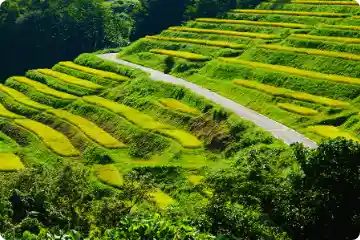世界農業遺産に認定された佐渡島