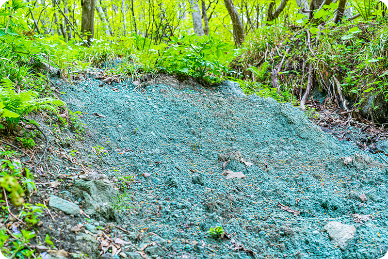 「アオネバ」の由来になっている⻘い粘⼟層