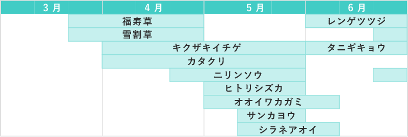 佐渡の花カレンダー 3月～6月
