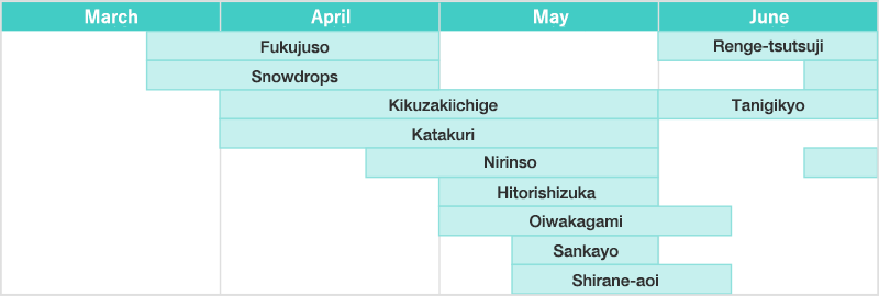 佐渡の花カレンダー 3月～6月
