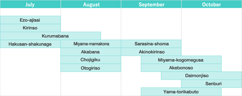 佐渡の花カレンダー 7月～10月