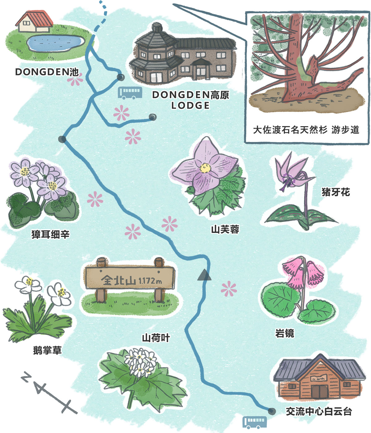 佐渡を五感で感じるトレッキングルート